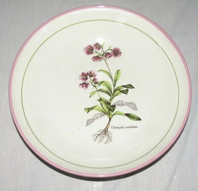 $12.94 • Buy Primula Chimapla Umbellata Italy 13  Pasta Salad Bowl