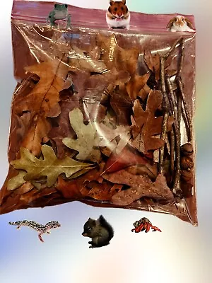 Terrarium Substrate Mixed Hardwood Leaf Litter Oak Leaves Amphibian Hermit Crab • $5.99