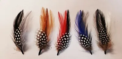 Lowrider Fedora Pachuco  Derby Cowboy Hat Band Variety  Pack Rooster Feathers   • $19.95