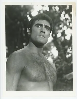 Tarzan And The Jungle Boy Vintage Photo Still 1967 Mike Henry Bare Chested TJB1 • $16.95