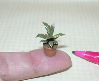 Miniature Dainty House Plant #10 In Aged Resin Terracotta Pot: DOLLHOUSE 1:12 • $5.98