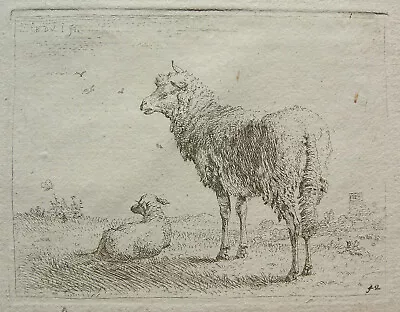 K. Dujardin (du Jardin) 'the Lamb With The Insulation' H. 42 Ii Etching ~1655 • $41.48