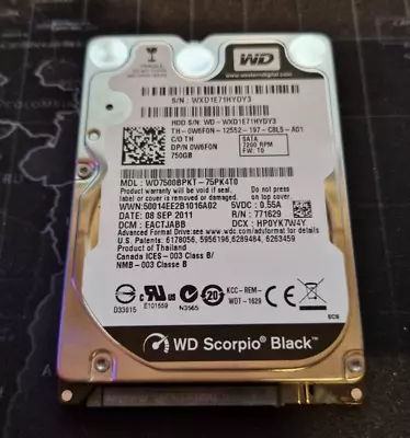 Western Digital WD7500BPKT Scorpio Black Hard Drive 750GB 7.2K SATA  - • £8.99