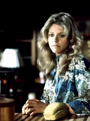 Actress Lindsay Wagner The Bionic Woman Poster Picture Photo Print 11x17 • $15.25