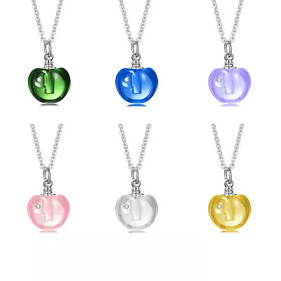 Acrylic Ashes Urn Pendant Cremation Holder Container Women Men Necklace Memorial • $9.99