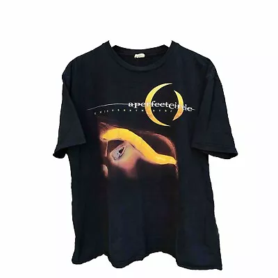 A Perfect Circle Thirteenth Step 2010 Tour Band Tee T Shirt Mens Size Xl • $24.99