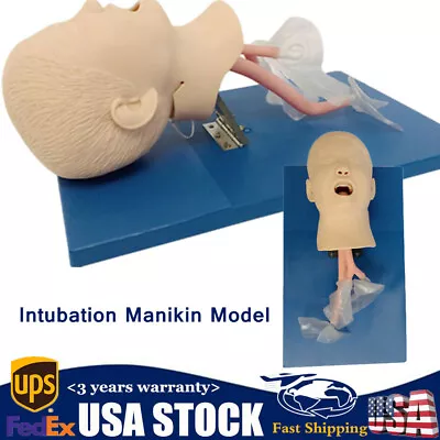$185.27 • Buy USA Intubation Manikin Study Teaching Training Model Airway Management Trainer