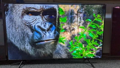 £430 • Buy 65  Samsung Smart UHD 4K HDR 10+ LED TV With Built-in Wi-Fi, TVPlus UE65nu7020