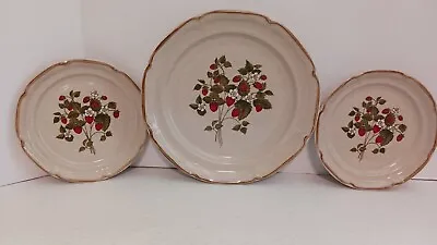 Strawberry La Fraise - Endura Collection Stoneware Dinner Plate & 2 Salad Plates • $29.99