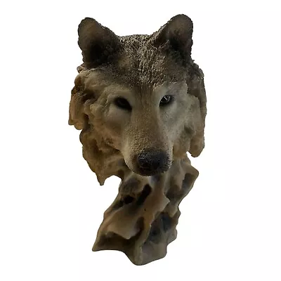 Mill Creek Studios Focused Prey Resin 3D Wolf Head Sculpture Realistic No Base • $35.92