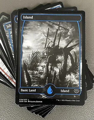 50 FULL ART Basic Land Card Lot Magic The Gathering MTG 10 Each WUBRG Random Set • $18.99