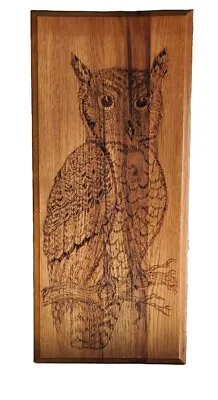 Vintage Owl Wood Wall Plaque • $13.59