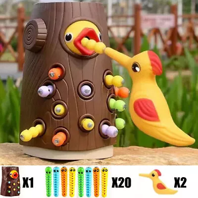 Magnetic Woodpecker Catching Worms And Feeding Game Montessori Baby Toddler Toy • $18.79