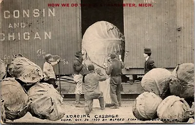 Custer Michigan Mason County  Loading Cabbage  Exaggeration Postcard • $8.99