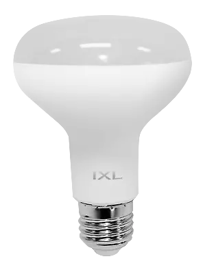 10W LED R80 Centre Globe - IXL 12281 • $19.99