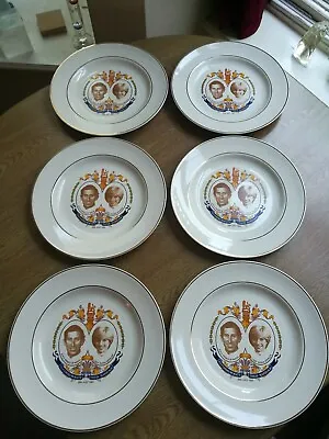 Vintage Pall Mall Ware 6 X Charles & Diana Royal Wedding Plates 10.5  Photo 1981 • £22.50