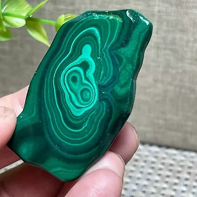 Malachite Slab / Slice  Polished Gemstone Mineral Specimen Congo 21g A22 • $19.50