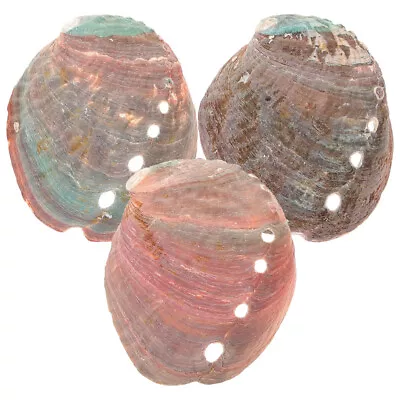 3Pcs Natural Shell Smudge Kit For Home • £6.38