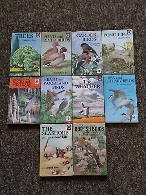 Vintage Ladybird Books Nature Series 536 10 Matt Books Good Condition K8 • £39.95