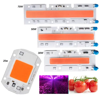 Full Spectrum LED Grows Light LED COB Chip For Hydroponic Greenhouse Plant • $1.89