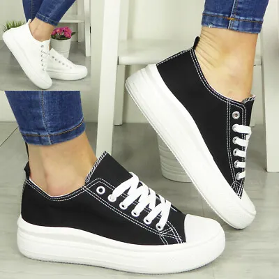 Ladies Canvas Trainers Shoes Sneakers Platform Lace Up Womens Pumps Boots Casual • £14.31