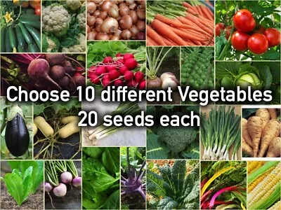 £7.50 • Buy Vegetables Seeds Bundle Lot-  Choose 10 Varieties (20 Seeds Each)