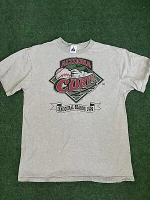 Vintage Altoona Curve Minor League Baseball T Shirt Gray Large 90s 1999 MLB MILB • $18.88