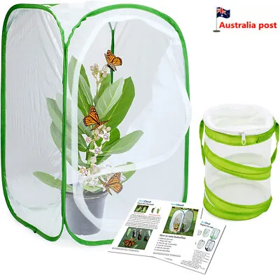 $14.99 • Buy Insect And Butterfly Habitat Cage Terrarium Pop-up Tall With Mini Bug Cage AU