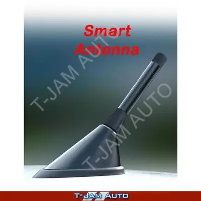 Smart Car Antenna Black Carbon Easy-to-Fit For Mazda 3 Mps • $28.95