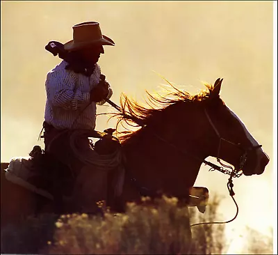 2000 Vintage Print California Cowboy Vaquero Tippy Tipton Onyx Ranch Bakersfield • $24.88