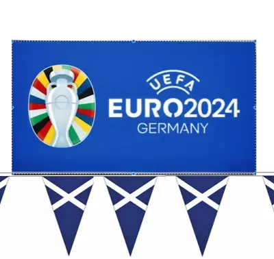 10 Metre's Scotland Navy Blue Euro 2024 Party Triangle 20 XL Flags Party Bunting • £4.95