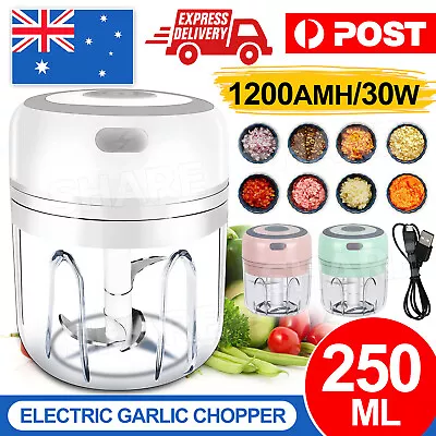 250ML Electric Garlic Food Chopper Vegetable Chopper Grinder Blender Crusher HOT • $12.95