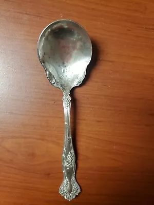 1847 Rogers Bros. Grape Silver Plate Spoon XS Triple Soup Spoon Ladle • $19.99