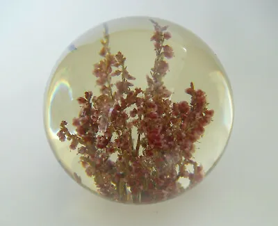 £20 • Buy Hafod Grange Pink/Red Heather Resin Paperweight - 3 1/4 (8.25cms)