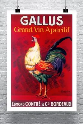 Rooster Gallus Vintage Liquor Advertising Poster Canvas Giclee Print 24x34 In. • $57.72