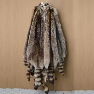 1PCS Real Raccoon Pelts Leather Skin Fur Hides DIY Craft For Hat Decor Clothing • $32.99