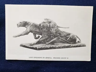 Lion Spearing Africa Bronze Museum Natural History Chicago IL Postcard • $6