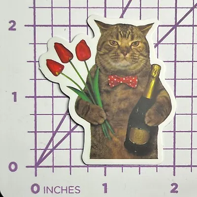 Valentine's Day Romance Kitty - Vinyl Sticker Decal Sticker Bomb Humor Funny • $4.99