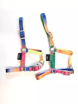 New Miniature Stable Halter Rainbow Range | Basic Nylon Headcollar Foal Shetland • £9.96