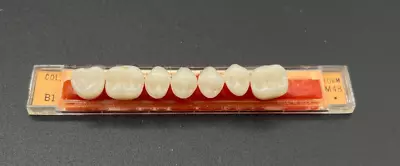 Vintage Denture Teeth Set Single Strip - T100 • $16.24