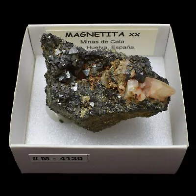 MAGNETITE (Cala Mines Cala Huelva Spain) #M4130 55x31mm • $7.50