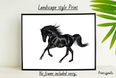 Black Horse  A4 Print Poster Picture Wall Art Home Decor Unframed New • £3.99