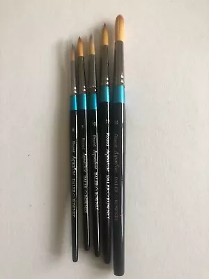 Daler Rowney Aquafine Watercolour Brushes Round-af85  5 Items  Size 6-8-10-12-14 • £24.99