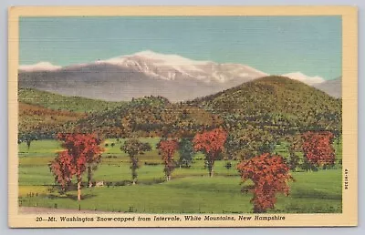 Vintage Mt. Washington Intervale White Mountains New Hampshire Linen Postcard • $8.28