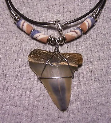 Mako Shark Tooth Necklace 1 7/8  Sharks Teeth Fossil Jaw Megalodon Scuba Diver • $25
