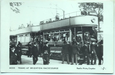 £2.30 • Buy Pamlin Repro Photo Postcard M555 Trams At Brighton Racecourse