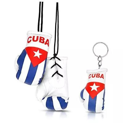 Mini Boxing Gloves Cuba • $22.13