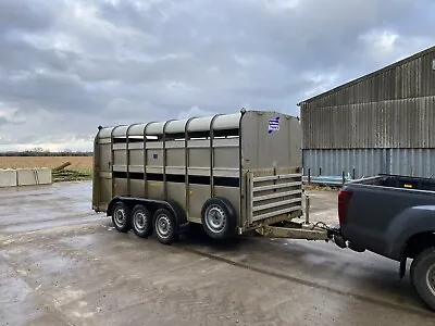 14ft Ifor Williams Livestock Trailer With Sheep Decks • £4750