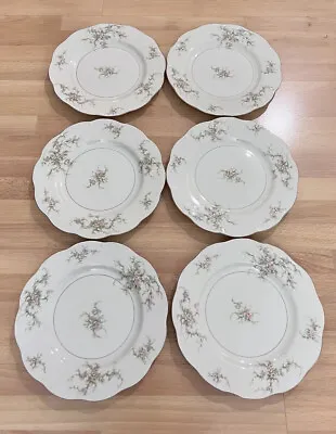 Vtg Set Of 6 Theodore Haviland New York Rosalinde 10” Dinner Plates Usa - Euc • $79.99