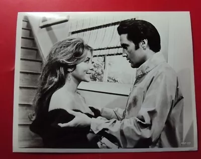 Live A Little Love A Little - Orig B/w 8 X 10 Photo -1968-elvis Presley- Caption • $13.95